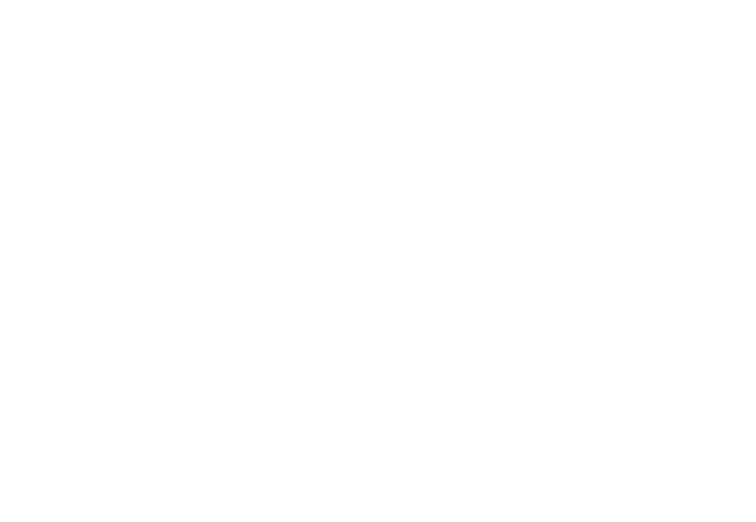 Auto Carga